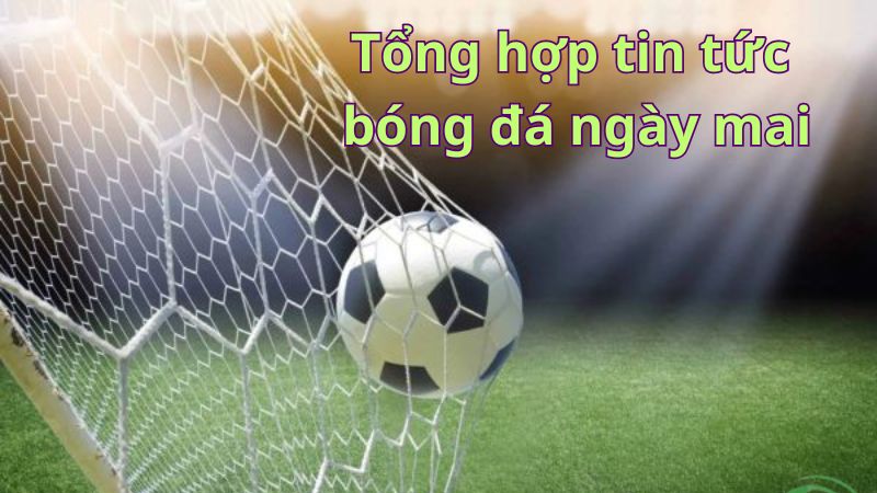 2Q- Ngày Mai Có Trận Bóng Nào? Lịch Thi Đấu Chi Tiết & Cập Nhật Mới Nhất 2024 Tại 2Q 3 Ngay-mai-co-tran-bong-nao-3
