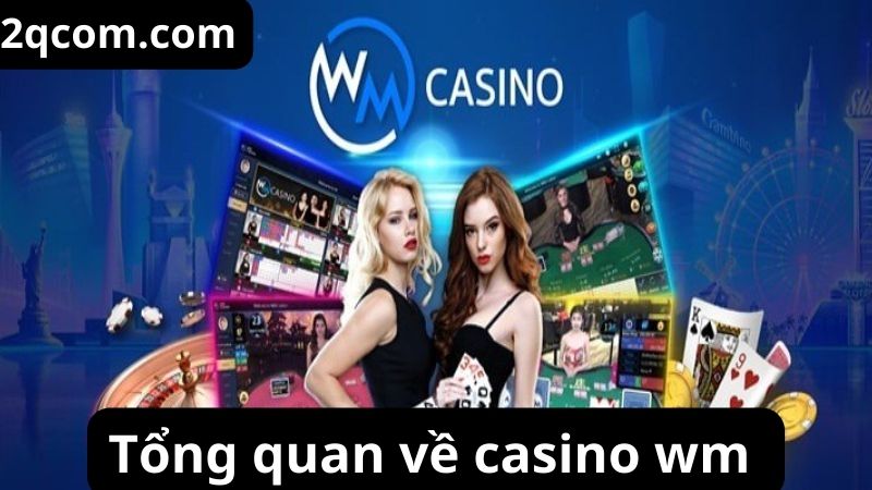 Tổng quan về casino wm 