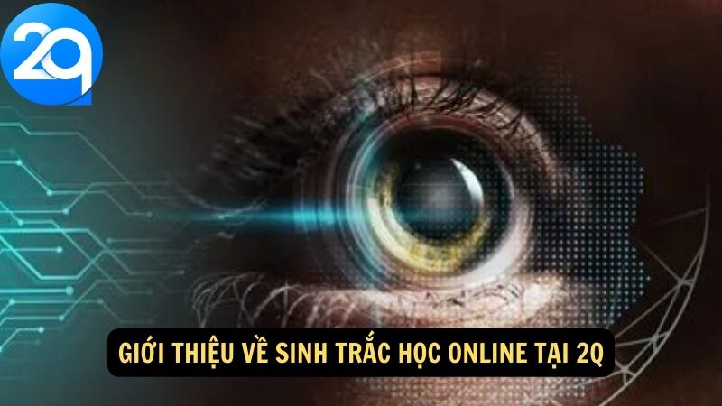 Sinh Trắc Học Online: Tăng Cường An Ninh và Xác Thực Danh Tính Một Cách Hiệu Quả 1 sinh-trac-hoc-online-1