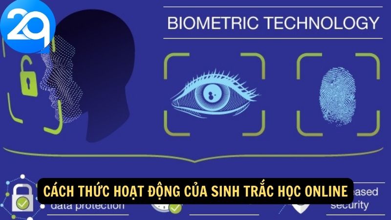 Sinh Trắc Học Online: Tăng Cường An Ninh và Xác Thực Danh Tính Một Cách Hiệu Quả 3 sinh-trac-hoc-online-2