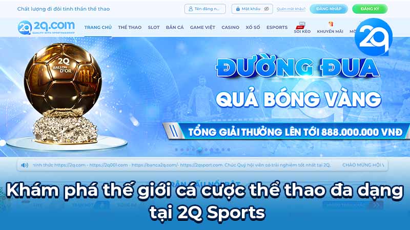 2Q Sports - Cá cược thể thao uy tín và chuyên nghiệp 1 2q-sports-1