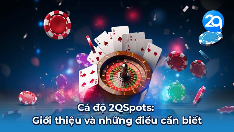 2QSpots: Hướng dẫn chi tiết cho người mới bắt đầu 1 2qspots-1