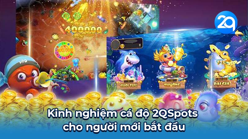 2QSpots: Hướng dẫn chi tiết cho người mới bắt đầu 2 2qspots-2