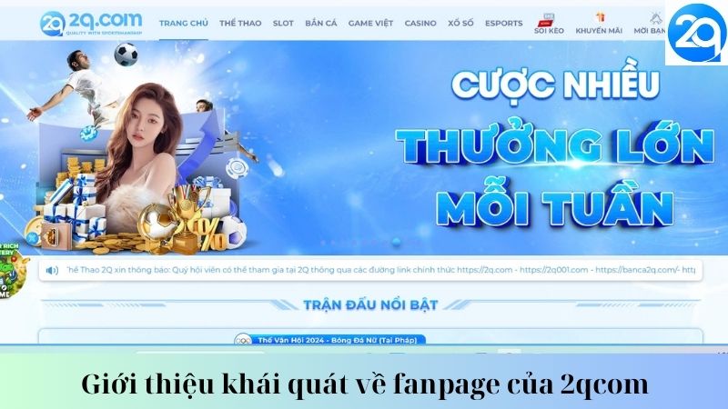 fanpage-cua-2qcom-1