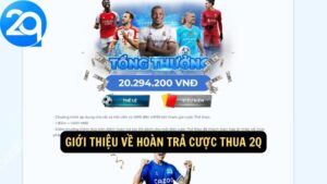 hoàn trả cược thua 2q