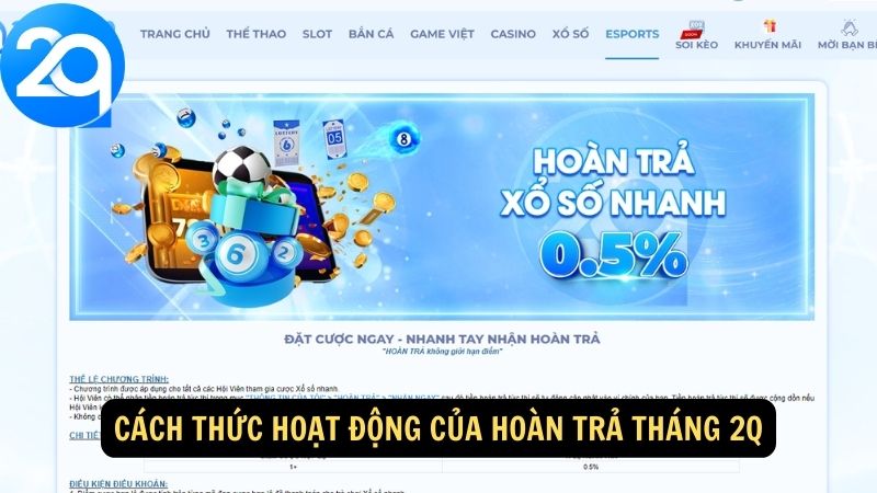 hoan-tra-thang-2q-2