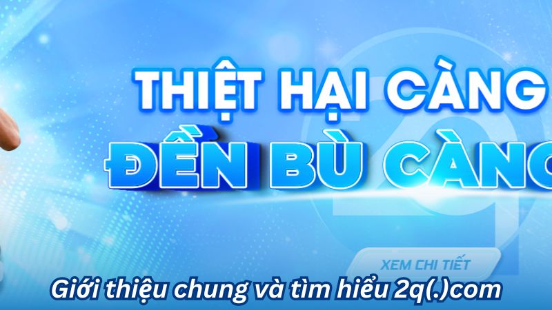 tim-hieu-2q-com-1